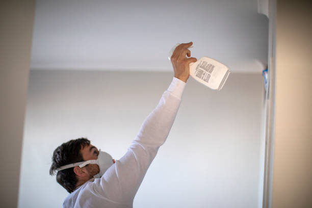 Best Best Mold Removal Companies  in Rancho Alegre, TX